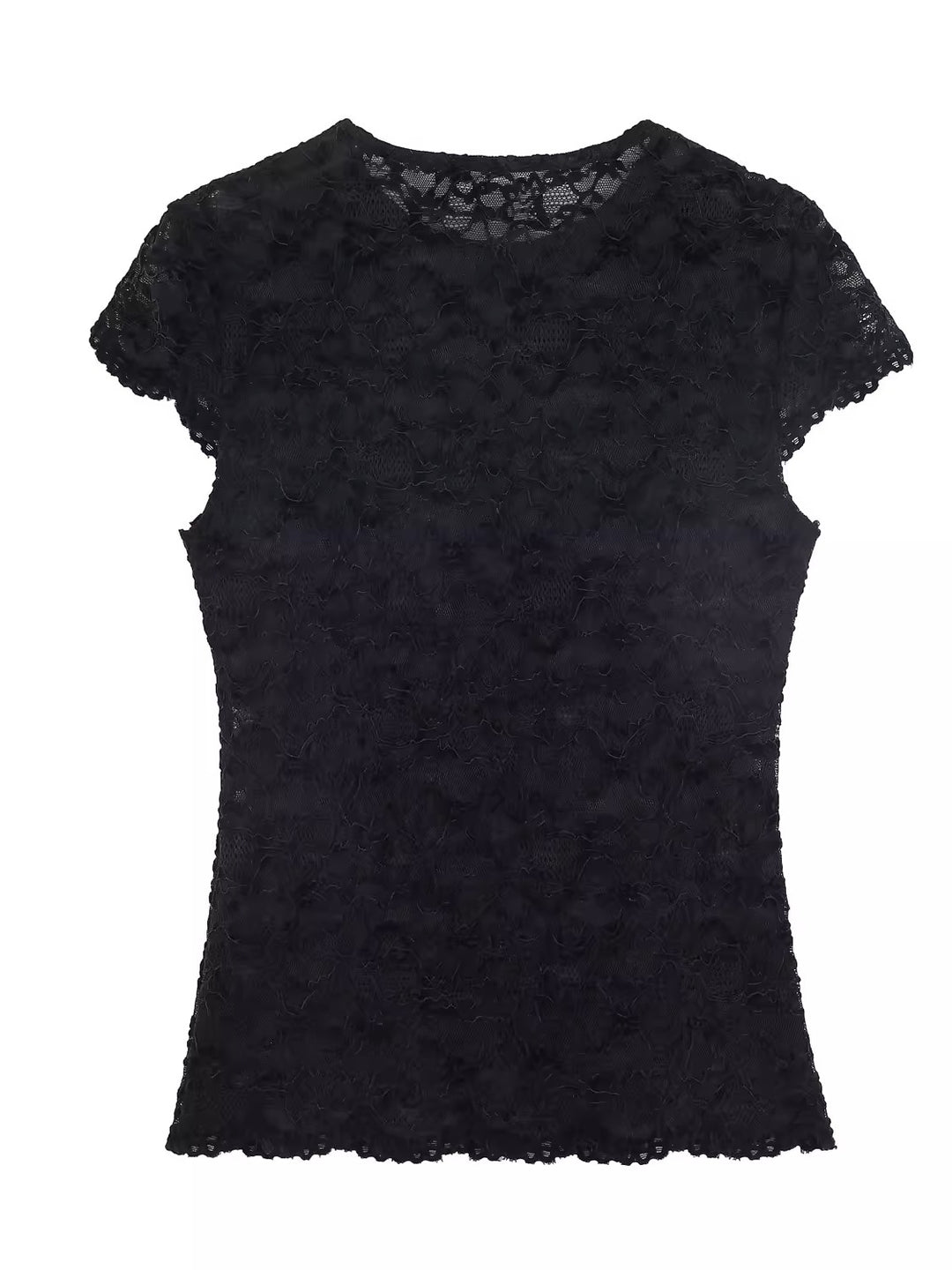 シアーレースコンパクトショートスリーブトップス