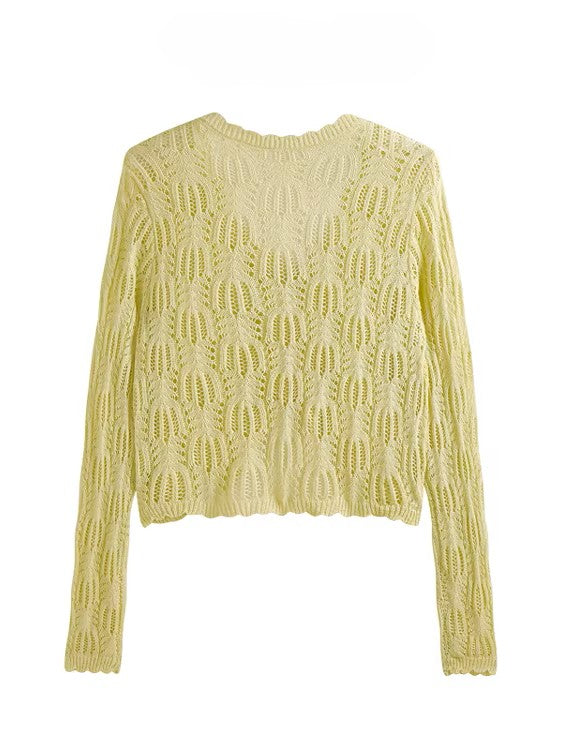 シアーレース クロップドニットカーディガン